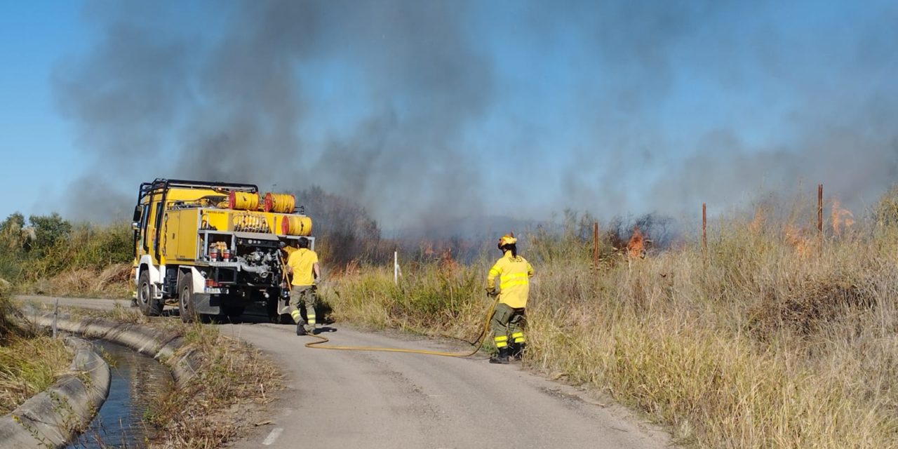 Fuego en la Viña de las Jamargas
