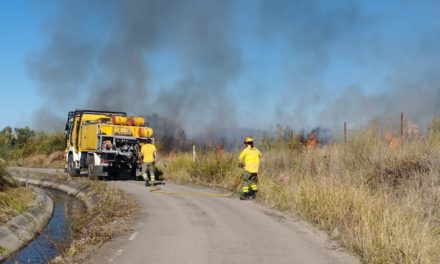 Fuego en la Viña de las Jamargas