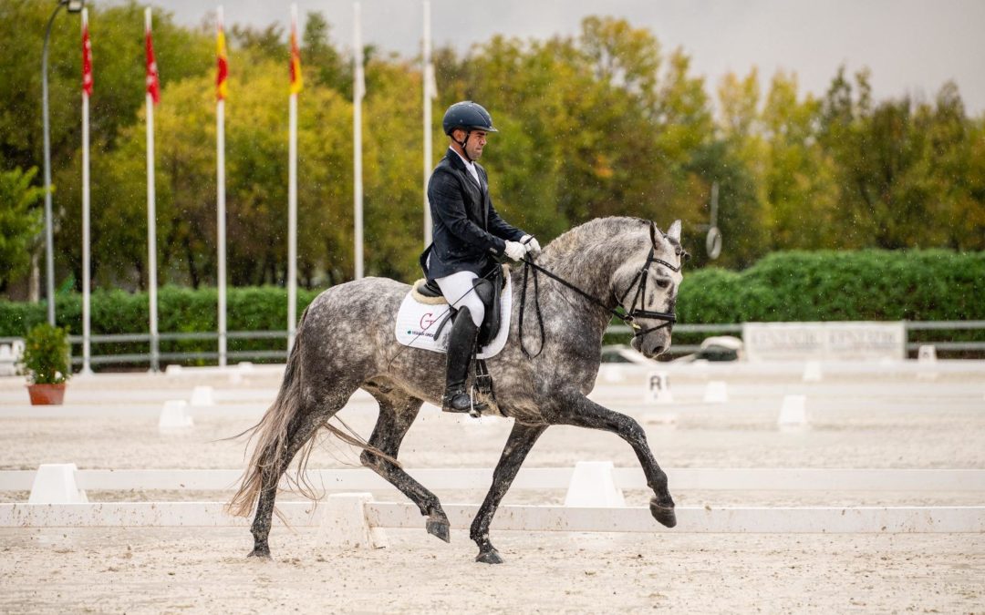 Clasificado para el Campeonato del Mundo