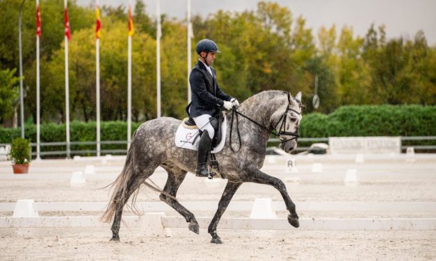 Clasificado para el Campeonato del Mundo