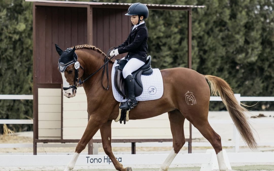 Convocado para la Temporada 24/25 con la Real Federación Hípica Española