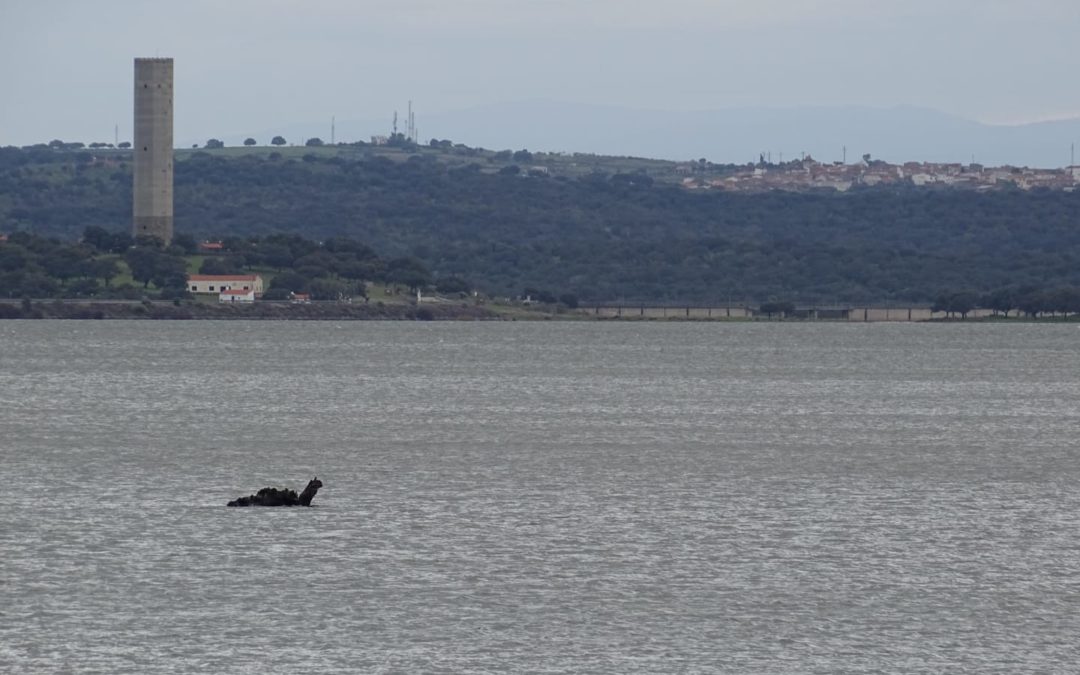 El monstruo que habita el Embalse de Portaje-Torrejoncillo