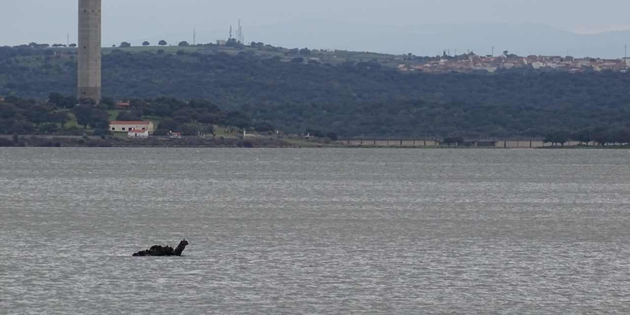 El monstruo que habita el Embalse de Portaje-Torrejoncillo
