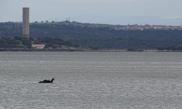 El monstruo que habita el Embalse de Portaje-Torrejoncillo