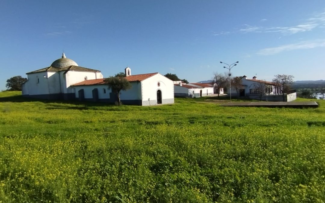 Programa Romería de San Pedro 2025