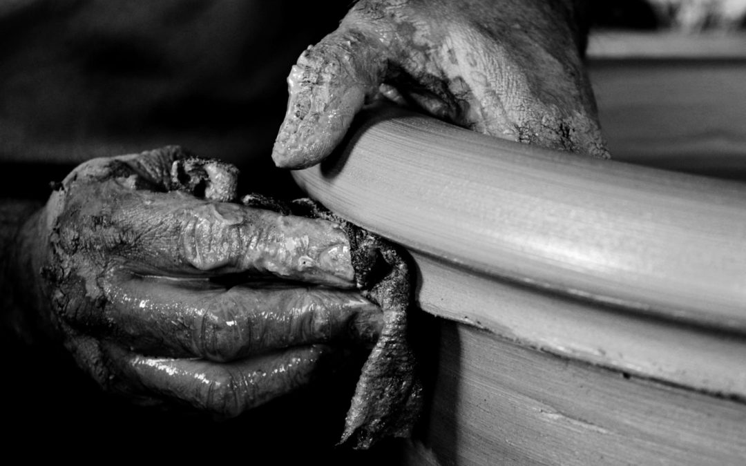 Primavera en la Dehesa 2025 y Torrejoncillo-Valdencin