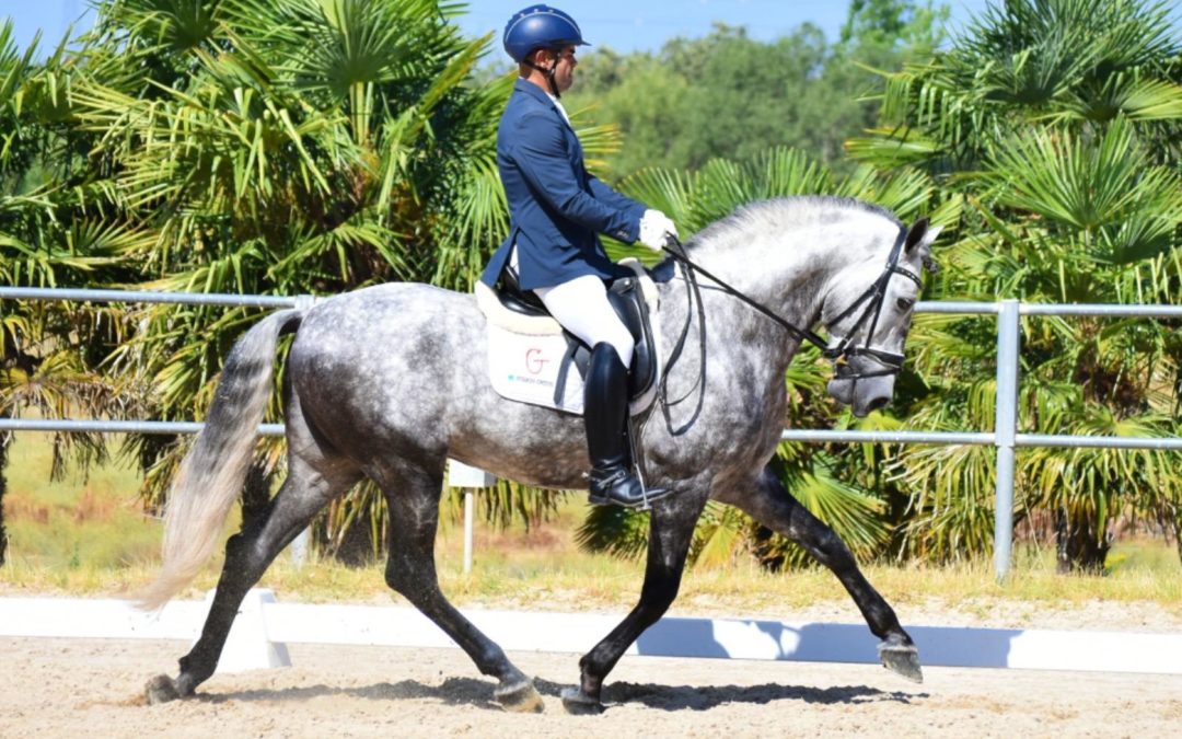 Pedro Emilio Serrano gana en varias Copas ANCCE y recibe medalla de Extremadura 2024