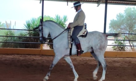 Subcampeón de Extremadura de Doma Vaquera de Categoría Intermedia