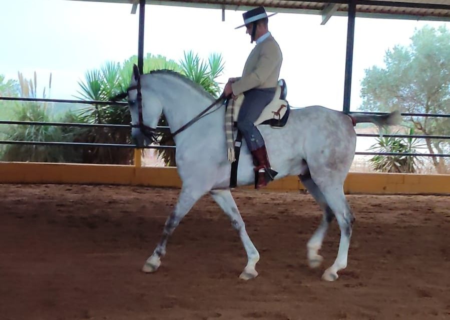 Subcampeón de Extremadura de Doma Vaquera de Categoría Intermedia