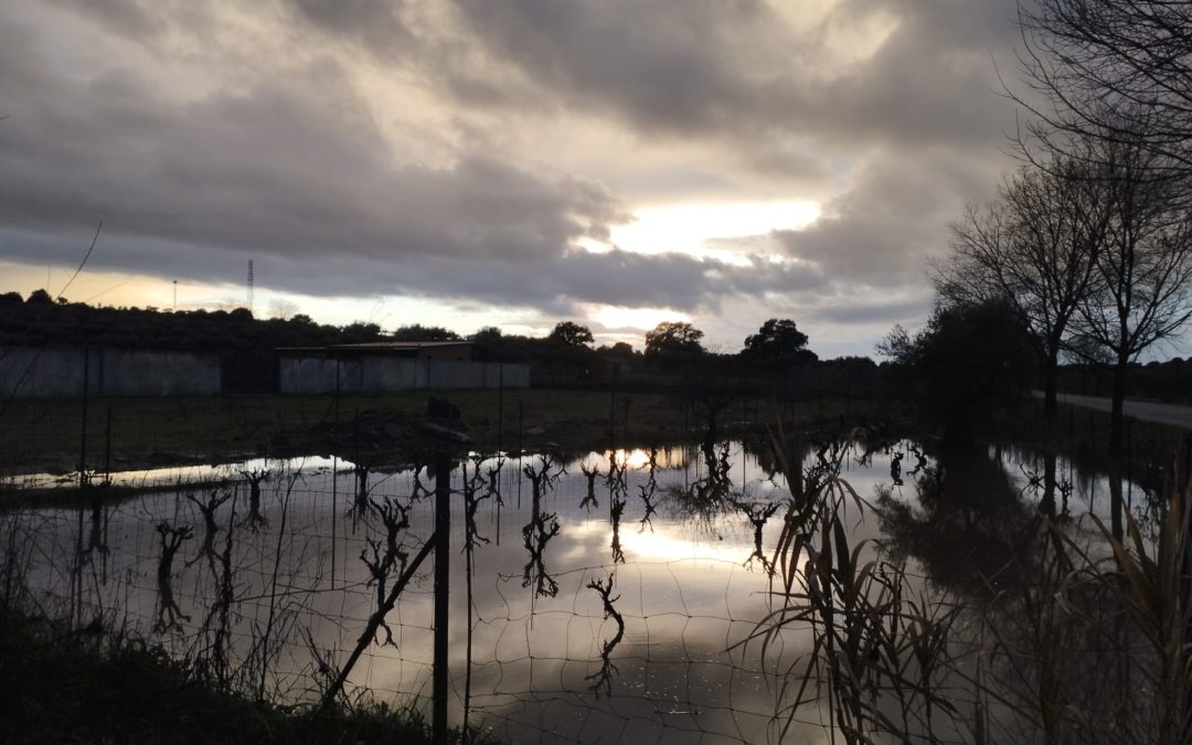 4360,5 litros por metro cuadrado