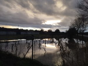 4360,5 litros por metro cuadrado