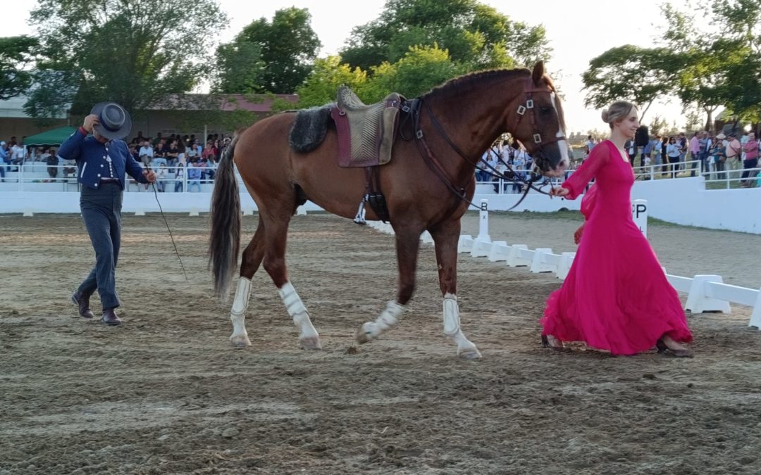 Tres días de Feria Ecuestre en Torrejoncillo (Contiene Galería)