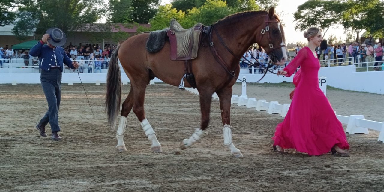 Tres días de Feria Ecuestre en Torrejoncillo (Contiene Galería)