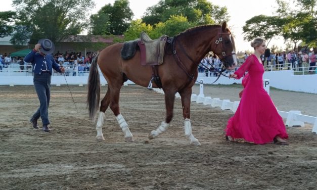 Tres días de Feria Ecuestre en Torrejoncillo (Contiene Galería)