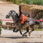 Torrejoncillano en Puy du Fou