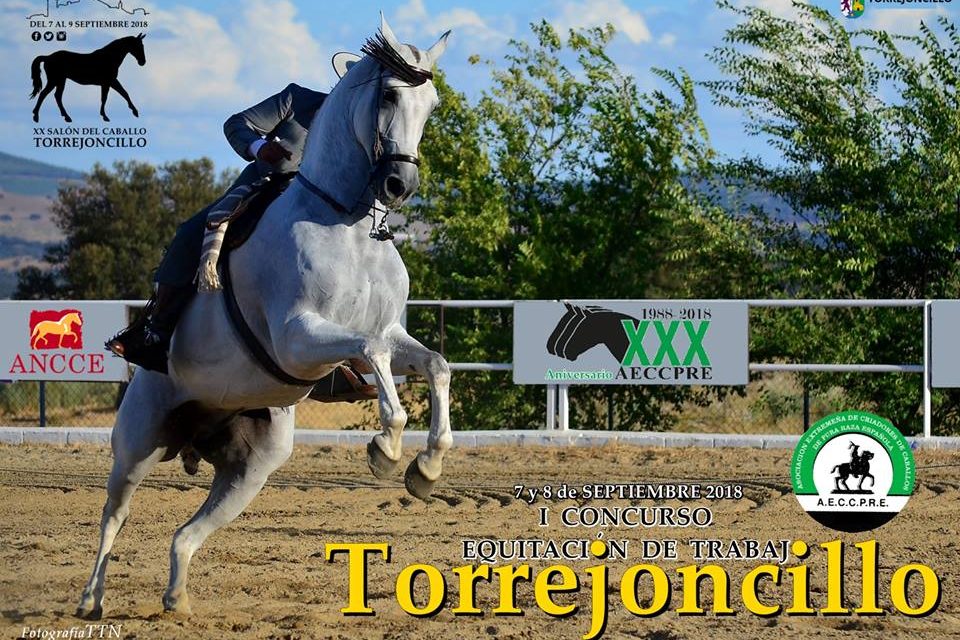 Comienza el XX Salón del Caballo de Torrejoncillo