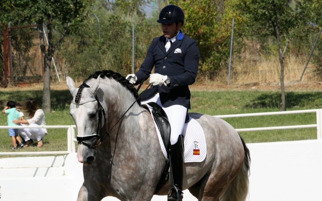 TORREJONCILLO ACOGE SU SALÓN DEL CABALLO CON EL PURA RAZA ESPAÑOL COMO PROTAGONISTA INDISCUTIBLE