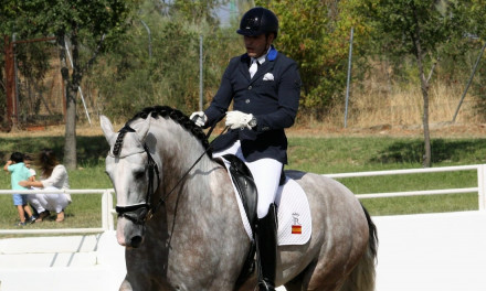 TORREJONCILLO ACOGE SU SALÓN DEL CABALLO CON EL PURA RAZA ESPAÑOL COMO PROTAGONISTA INDISCUTIBLE