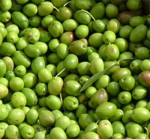 aceitunas