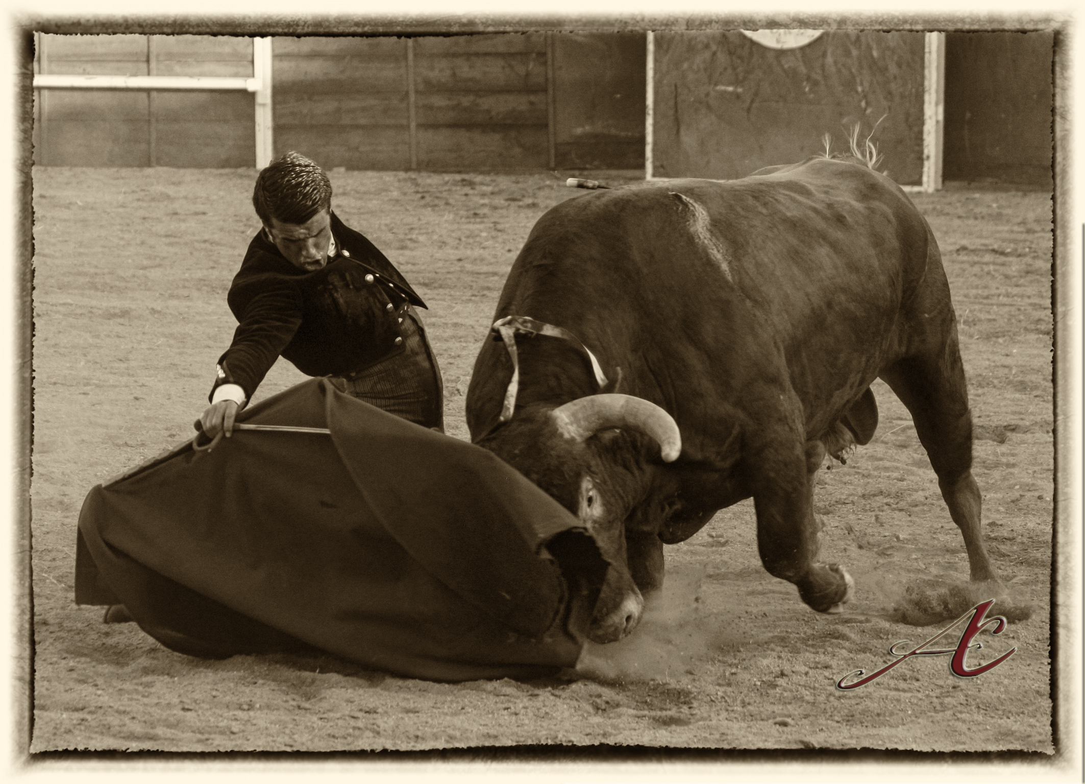 Emilio de Justo indulta un novillo en Madrigalejo