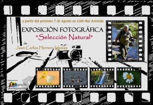 Exposición fotográfica «Selección Natural» de Juan Carlos Herrero Iglesias