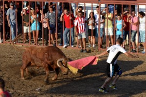 Un descastado Urcola revuelca a un mozo en el último festejo de las fiestas de Valdencín