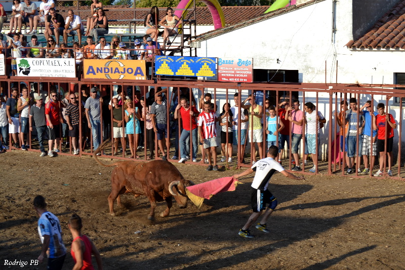 Un descastado Urcola revuelca a un mozo en el último festejo de las fiestas de Valdencín