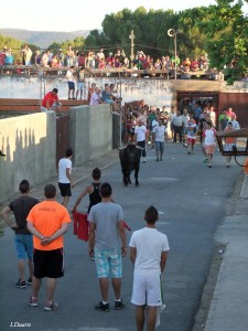 En Fiestas de Valdencín 2012 fue el primer año en el que el toro salió a las calles en el festejo de la tarde - ISMAEL DUARTE