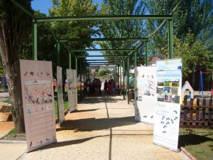 exposicion tematica
