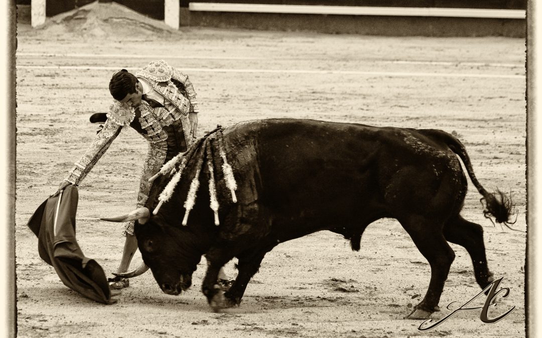 Madrid se rinde al torero torrejoncillano Emilio de Justo