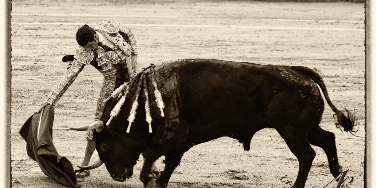 Madrid se rinde al torero torrejoncillano Emilio de Justo