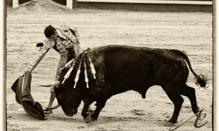 Madrid se rinde al torero torrejoncillano Emilio de Justo