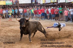 foto ganadora III Concurso toros 2014