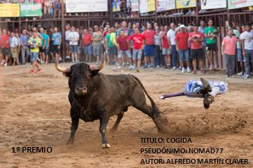 Bases IV Concurso Fotográfico Toros Torrejoncillo 2015