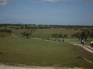 La comitiva atravesando la dehesa extremeña - ADESVAL