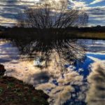 Vivir quiero conmigo