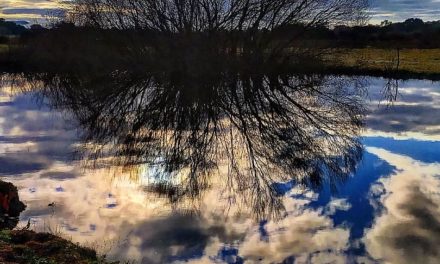 Vivir quiero conmigo.