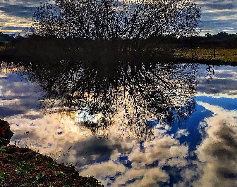 Vivir quiero conmigo.