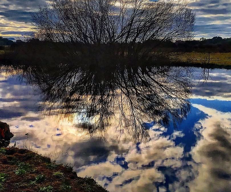 Vivir quiero conmigo