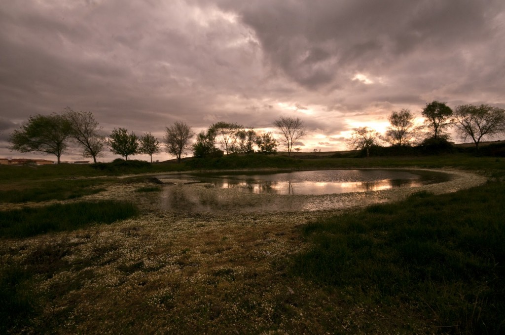 Laguna de Manrobel, fotografía ganadora del V Concurso Fotográfico - JUAN CARLOS HERRERO