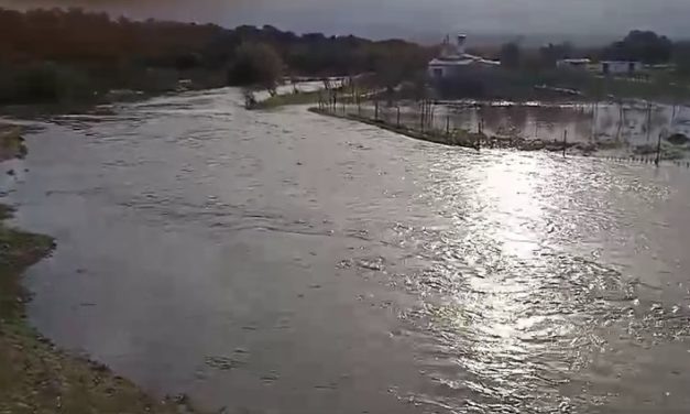 Arroyos desbordados por la lluvia caída esta noche (Contiene Videos)
