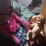 El niño Jesús es recibido por los mayores de Torrejoncillo