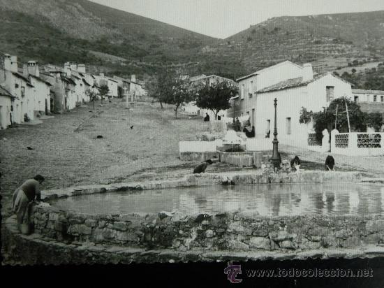 «Por su mucho amor a Cáceres»