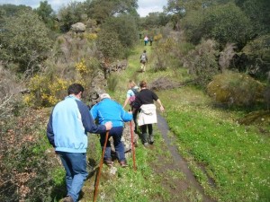 V Día del Esparrago Triguero en Valdeobispo - ADESVAL